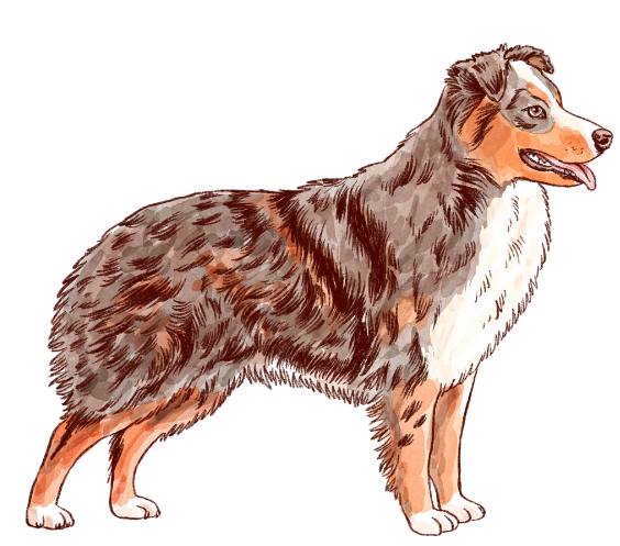 Hope Gables Canine